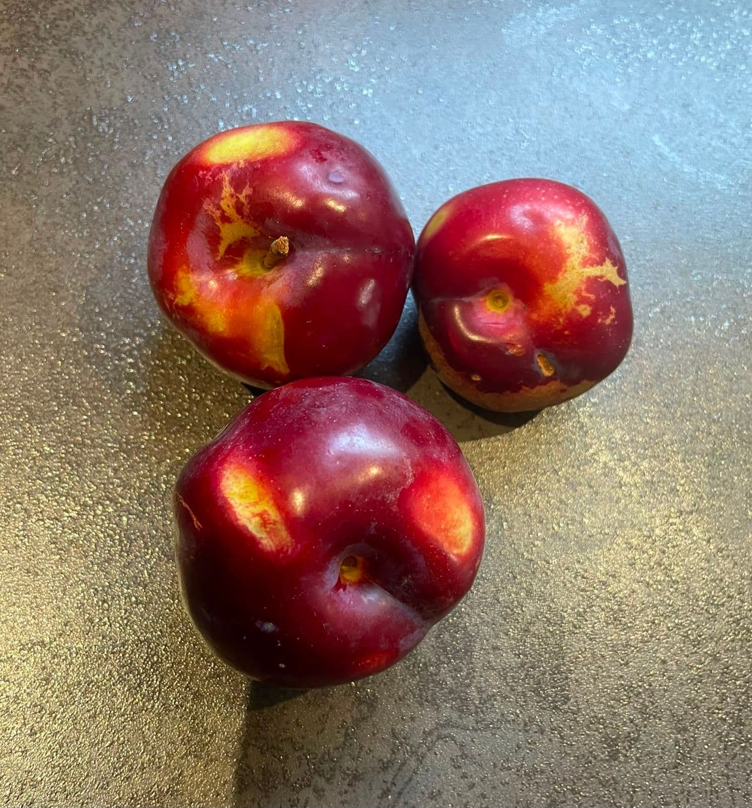 Japanse pruim, Prunus saliciana 'Rubineo' NIEUW Nederlands ras!!